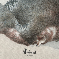 Thumbnail for the Holmes - Wolves link, provided by host site