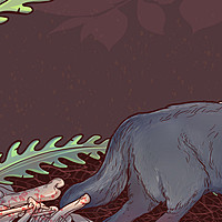 Thumbnail for the Brandon Gabriel - Wolves link, provided by host site