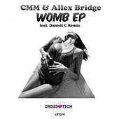 Thumbnail for the CMM - Womb link, provided by host site