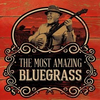 Thumbnail for the The Infamous Stringdusters - Won't Be Coming Back link, provided by host site