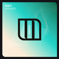 Thumbnail for the Paipy - Wonder link, provided by host site
