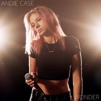 Thumbnail for the Andie Case - Wonder link, provided by host site