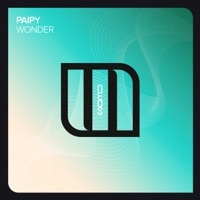 Thumbnail for the Paipy - Wonder link, provided by host site