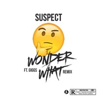 Thumbnail for the Suspect OTB - Wonder What?! [Remix] link, provided by host site