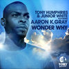 Image of Tony Humphries linking to their artist page due to link from them being at the top of the main table on this page