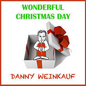 Thumbnail for the Danny Weinkauf - Wonderful Christmas Day link, provided by host site