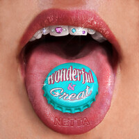Thumbnail for the Netta - Wonderful & Great link, provided by host site