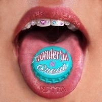 Thumbnail for the Netta - Wonderful & Great link, provided by host site