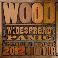 Thumbnail for the Widespread Panic - Wood link, provided by host site