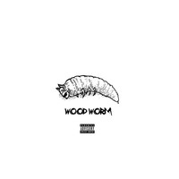Thumbnail for the Noel - Wood Worm link, provided by host site