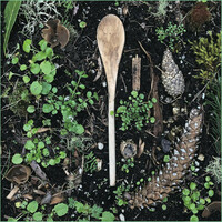 Thumbnail for the Michael Compton - Wooden Spoon link, provided by host site