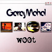 Thumbnail for the Garaj Mahal - Woot link, provided by host site