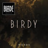 Thumbnail for the Birdy - Words (Blonde Remix) [Extended] (Blonde Remix; Extended) link, provided by host site