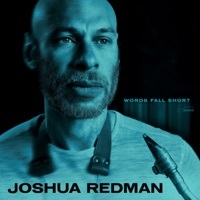 Thumbnail for the Joshua Redman - Words Fall Short link, provided by host site