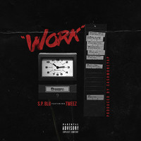 Thumbnail for the S.P. Blu - Work link, provided by host site