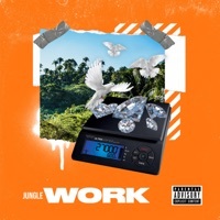 Thumbnail for the Jungle - Work link, provided by host site