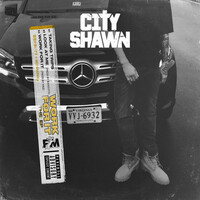 Thumbnail for the City Shawn - Work for it link, provided by host site