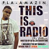 Thumbnail for the Fla-Amazin - Work for It link, provided by host site