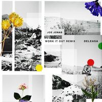 Thumbnail for the Joe Jonas - Work It Out (Deleasa Remix) link, provided by host site