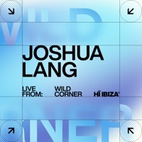 Thumbnail for the Honey Dijon - Work [Mixed] link, provided by host site