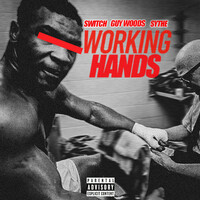 Thumbnail for the Switch - Working Hands link, provided by host site