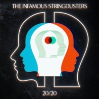 Thumbnail for the Infamous Stringdusters - Working Man Blues link, provided by host site