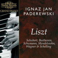 Thumbnail for the Ignacy Jan Paderewski - Works for Piano link, provided by host site