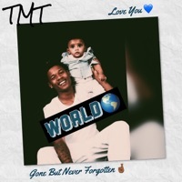 Thumbnail for the TMT - World link, provided by host site