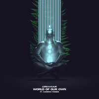 Thumbnail for the LZRD - World of Our Own link, provided by host site