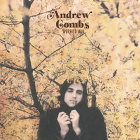 Thumbnail for the Andrew Combs - Worried Man link, provided by host site