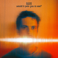 Thumbnail for the GUM - Would It Pain You to See? link, provided by host site