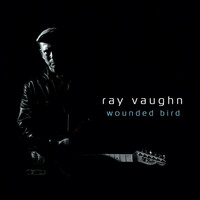 Thumbnail for the Ray Vaughn - Wounded Bird link, provided by host site