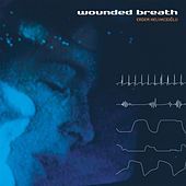 Thumbnail for the Erdem Helvacıoğlu - Wounded Breath link, provided by host site