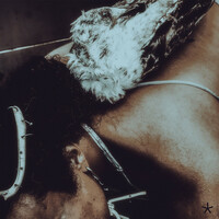 Image of Iceboy Violet linking to their artist page due to link from them being at the top of the main table on this page