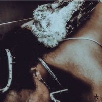 Thumbnail for the Iceboy Violet - Wounded Coogi link, provided by host site
