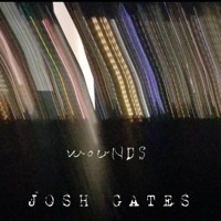 Thumbnail for the Josh Gates - Wounds link, provided by host site