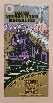 Thumbnail for the David Nelson Band - Wow Hall link, provided by host site