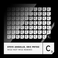 Thumbnail for the Eric Prydz - Woz Not Woz link, provided by host site