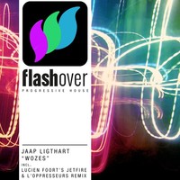 Thumbnail for the Jaap Ligthart - Wozes link, provided by host site