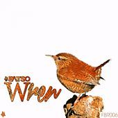 Thumbnail for the Fatso - Wren link, provided by host site