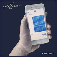 Thumbnail for the Self Esteem - Wrestling link, provided by host site