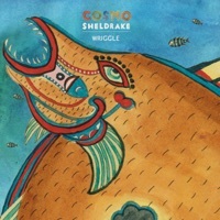 Thumbnail for the Cosmo Sheldrake - Wriggle link, provided by host site