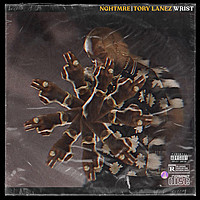 Thumbnail for the NGHTMRE - Wrist link, provided by host site