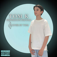 Thumbnail for the Tom K - Writing's On The Wall link, provided by host site
