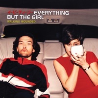 Thumbnail for the Everything But The Girl - Wrong (Todd Terry Remix) link, provided by host site
