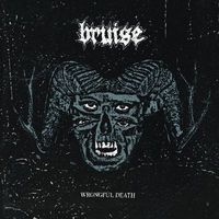 Thumbnail for the The Bruise - Wrongful Death link, provided by host site