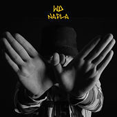 Thumbnail for the Nafla - Wu link, provided by host site
