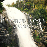 Thumbnail for the Prana - Wushu link, provided by host site