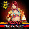 Thumbnail for the CFO$ - WWE: The Future (Asuka) link, provided by host site
