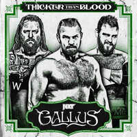 Thumbnail for the WWE - WWE: Thicker Than Blood (Gallus) link, provided by host site